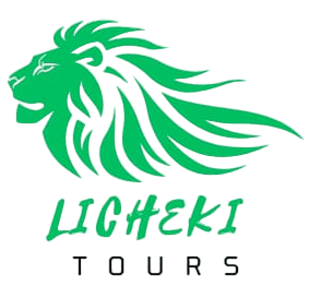 Licheki Tours logo